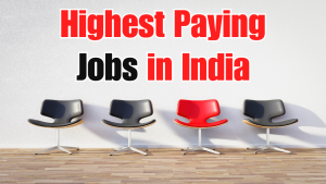 Highest Paying Jobs in India 2024