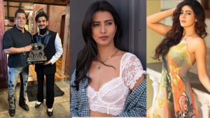 Big Boss 17 Winner and Contestants Name List with Photo